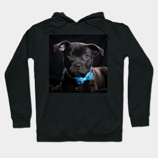 Cute Staffy Puppy Hoodie